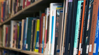 Image of library books on a shelf