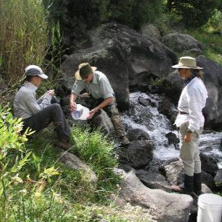 Bureau of Geology