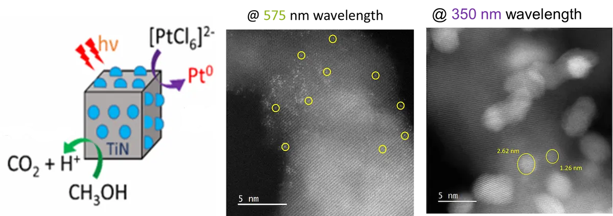 Single Atom Single Atom