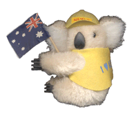 koala_australia