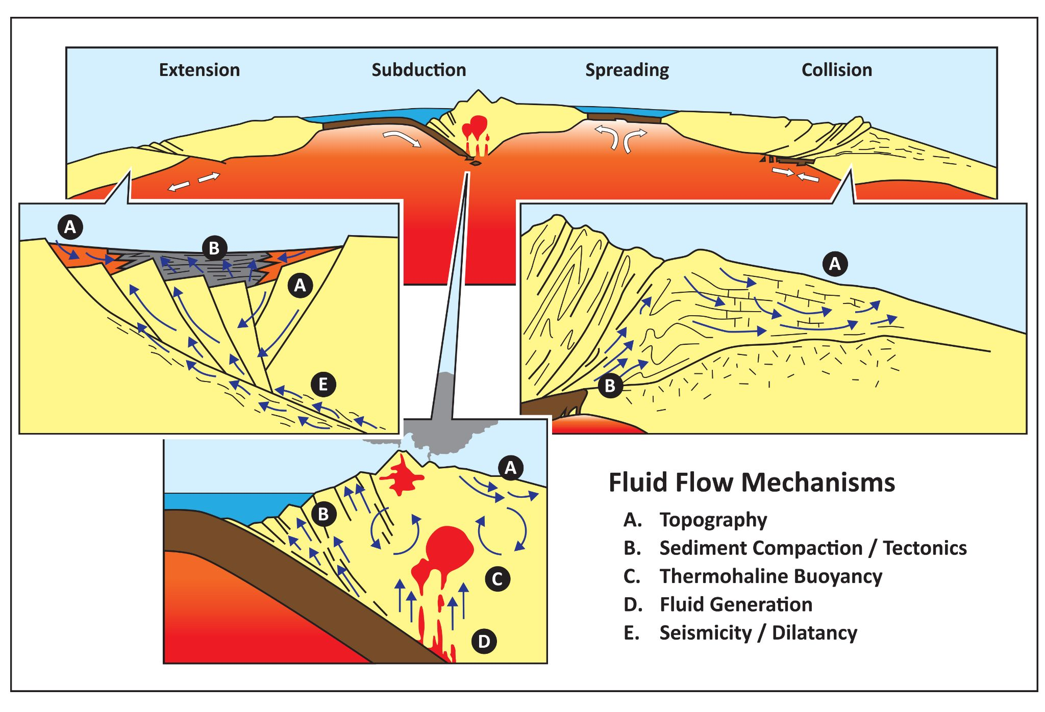 fluid-flow-model