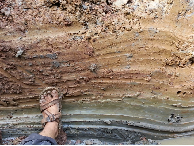 redox