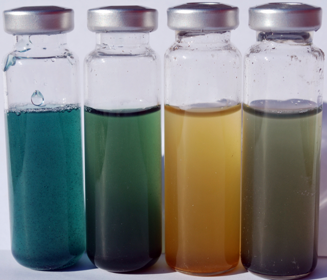 redox redox2