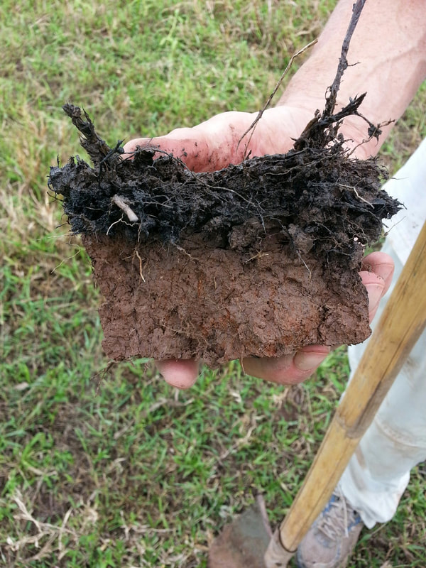 20130808_183618.jpg