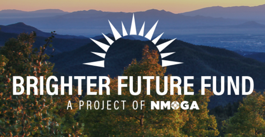 brighter futures fund logo