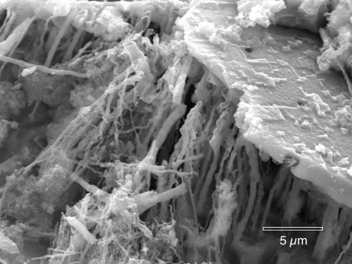 Microscopic view of microbes inside a corrosion pit in copper