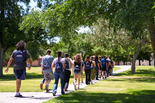 New Techie Summer Appeal