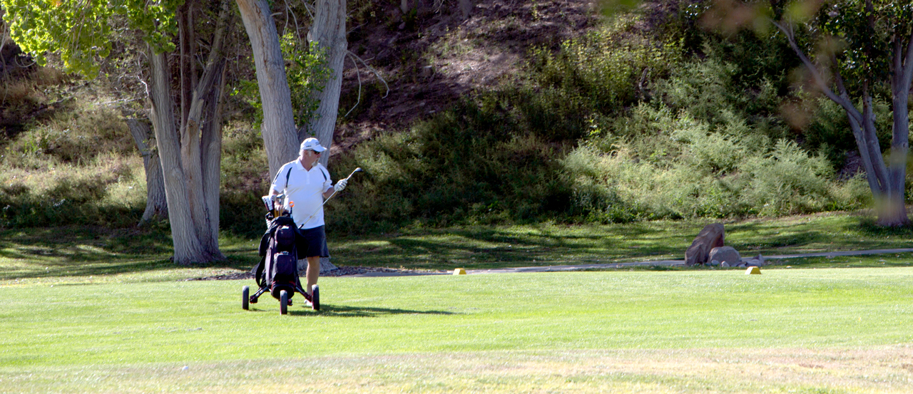 Image of man walking on the golf course with a set of clubs next to him.