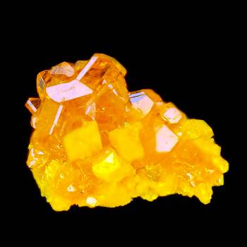 rakonavite Rakonavite