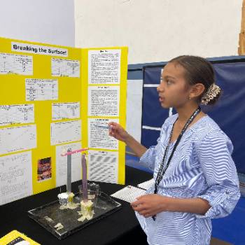 middle school science fair projects experiments