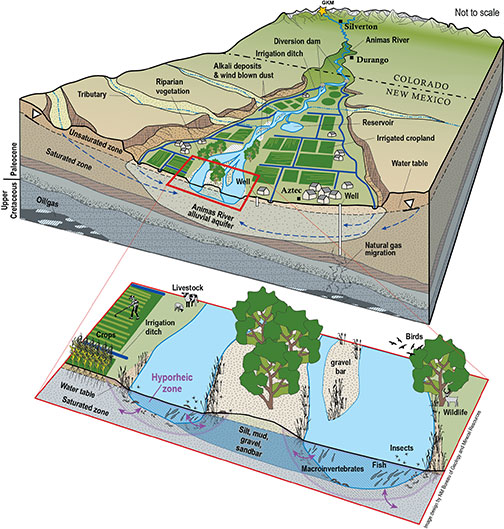 Conceptual model of the Animas River basin