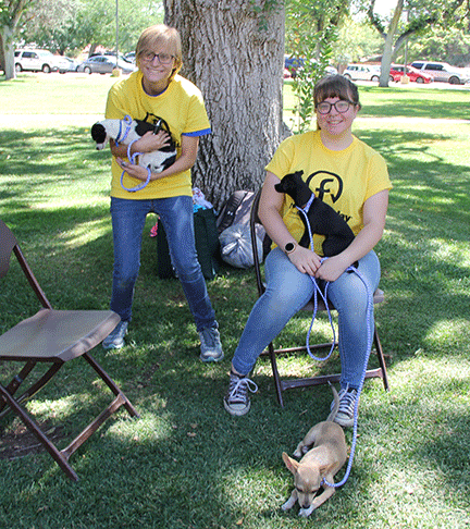 students with puppies