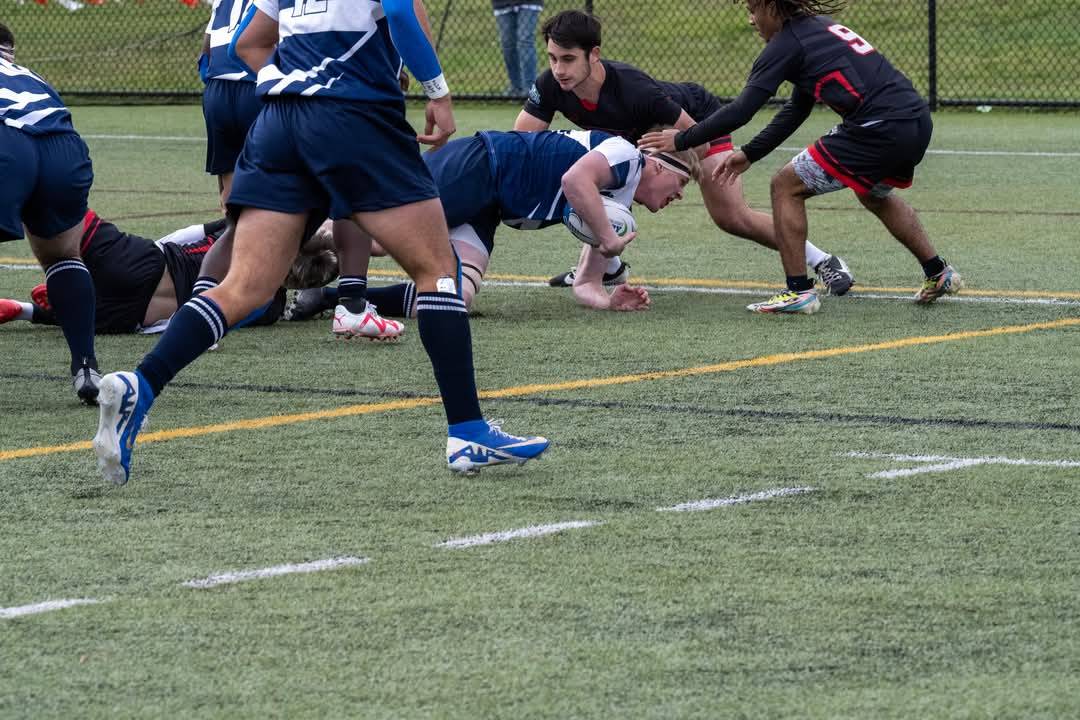 Brody takes lineout