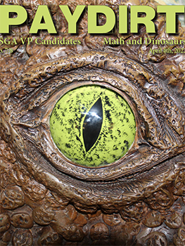 Close up image of a dinosaur eye