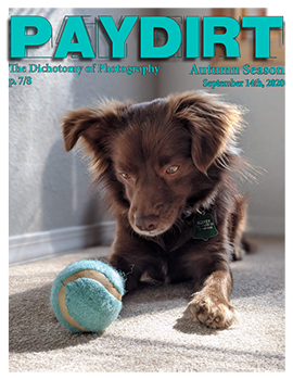 Paydirt Fall 2020 Issue 3 cover image